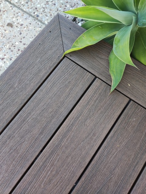 A corner of a wooden deck with dark brown planks next to a green succulent plant, showcasing quality construction and maintenance solutions. Part of a stone or concrete surface with small pebbles is visible in the top left corner.